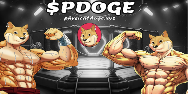 实物 Doge (PDOGE) 开启多轮预售,面向早期支持者